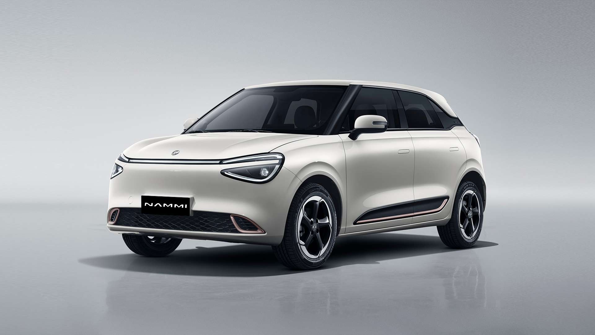 Dongfeng Nammi 01